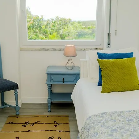 Casa Com Grande Jardim