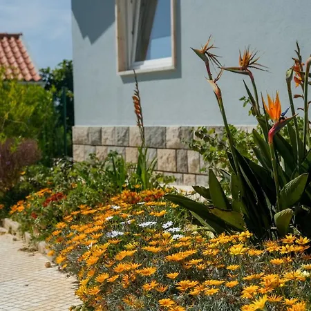 Like-home-t3 House-garden, Sea View, 펜션 *