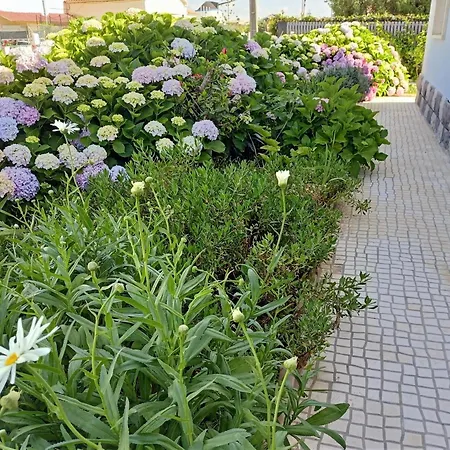 Casa Com Grande Jardim