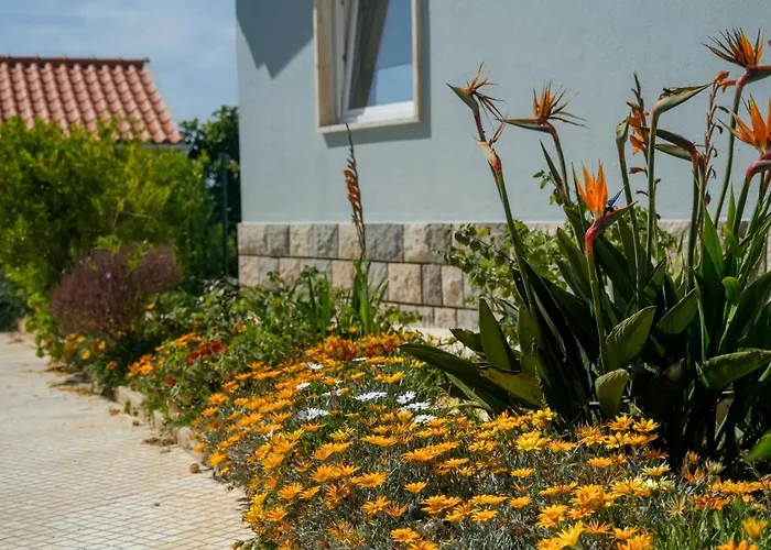 Like-home-t3 House-garden, Sea View, 펜션 *