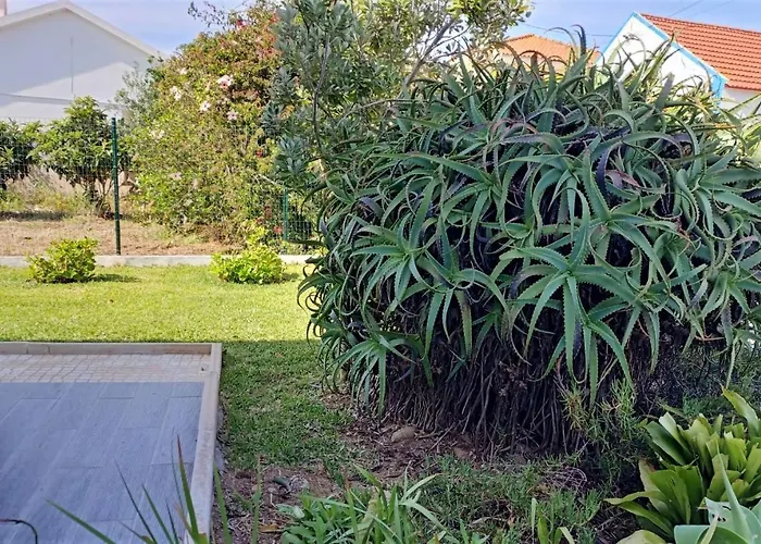 Like-home-t3 House-garden, Sea View, * Casais de Sao Lourenco