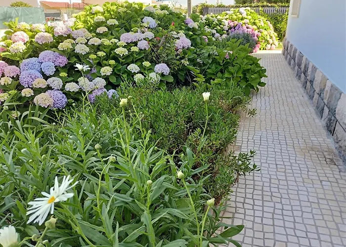 Like-home-t3 House-garden, Sea View,